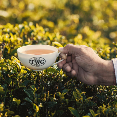 5 Unique TWG Tea Blends You Must Try