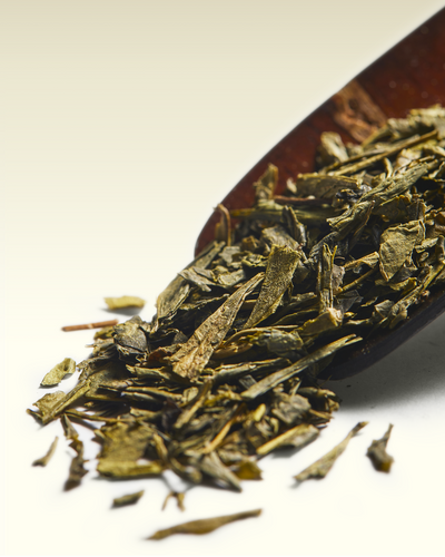 Sencha
