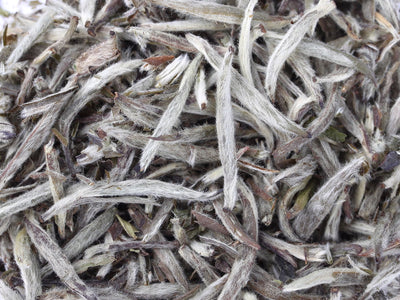 White Night Jasmine Tea