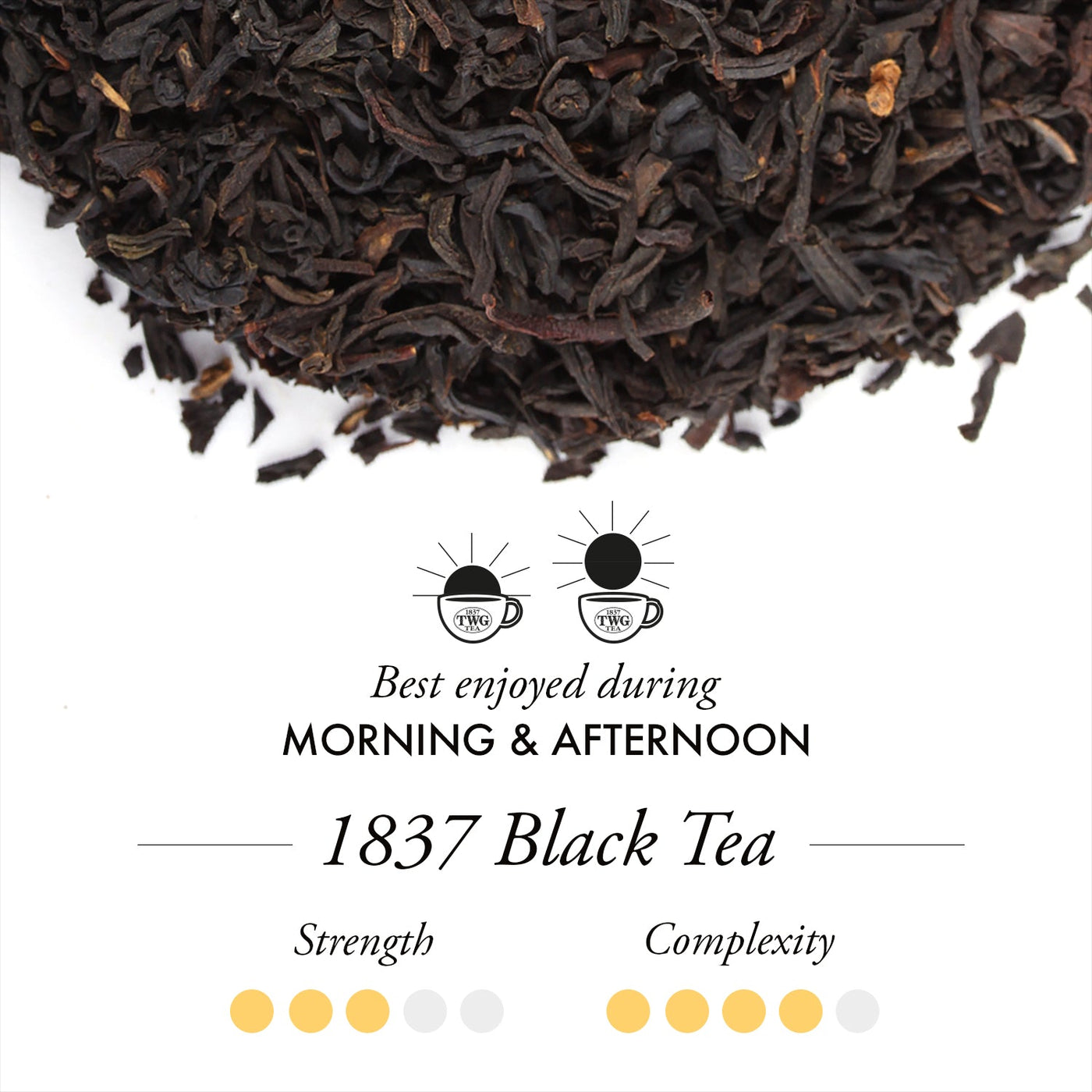 1837 Black Teabags (15 Teabags)