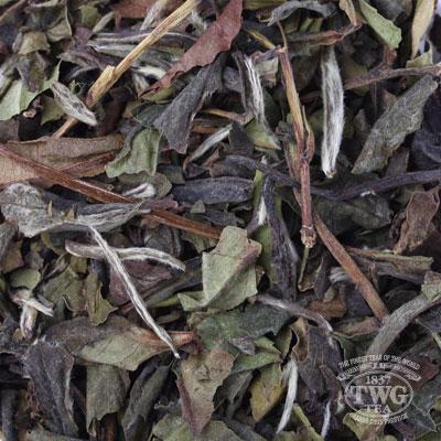 TWG Tea Loose Leaf 1837 White Tea
