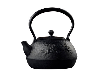 Kiso Teapot (1 Litre)