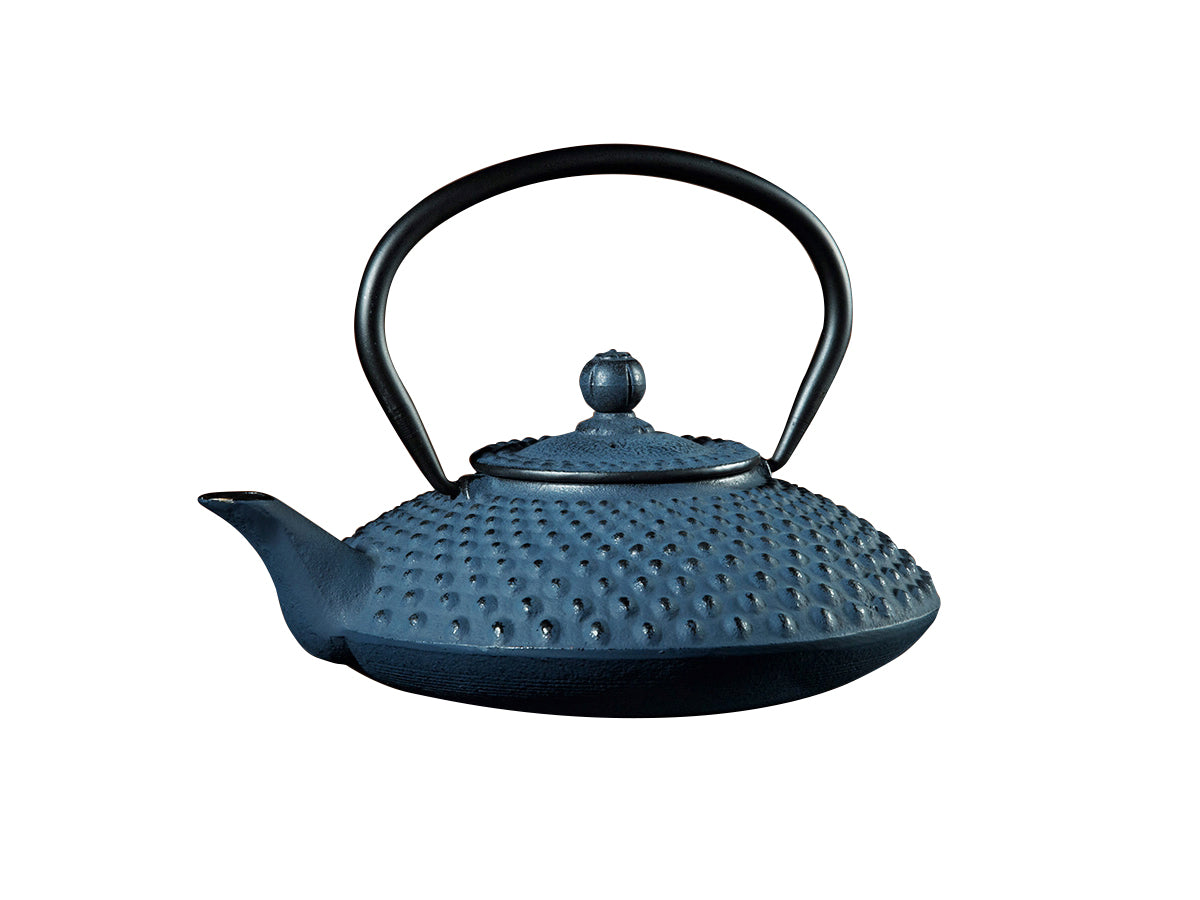 Warrior Teapot in Blue (1.2 Litre)